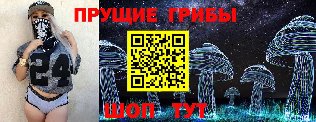 наркошоп  Псилоцибиновые грибы Psilocybine cubensis  Вход с VPN  Жигулёвск 