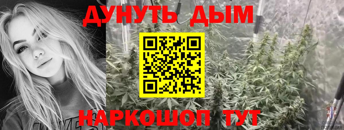 Канабис план  Вход с VPN  Жигулёвск  Шишки марихуана план 